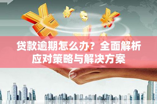 稻城贷款逾期怎么办？全面解析应对策略与解决方案