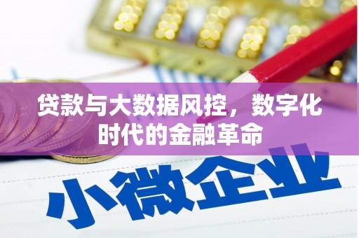 武侯贷款与大数据风控，数字化时代的金融革命