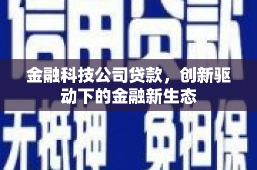 白碱滩金融科技公司贷款，创新驱动下的金融新生态