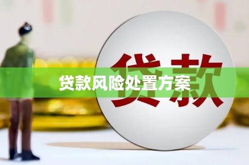 吴忠贷款风险处置方案