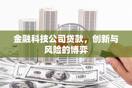 云霄金融科技公司贷款，创新与风险的博弈