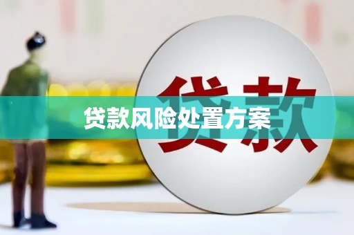 太保贷款风险处置方案