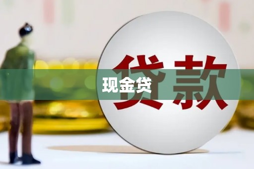 西华现金贷