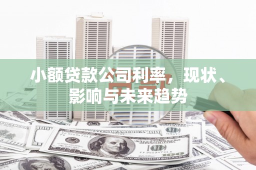 邓州小额贷款公司利率，现状、影响与未来趋势