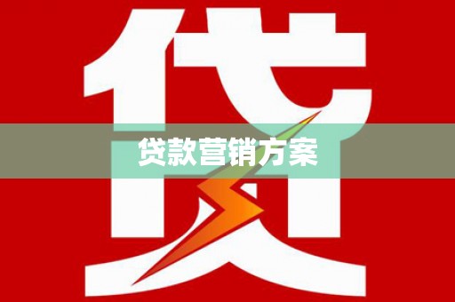 洛扎贷款营销方案