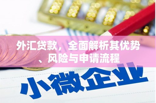 嘉黎外汇贷款，全面解析其优势、风险与申请流程