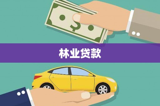 边坝林业贷款
