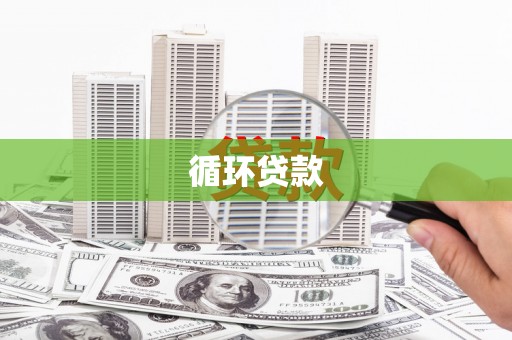 海南循环贷款