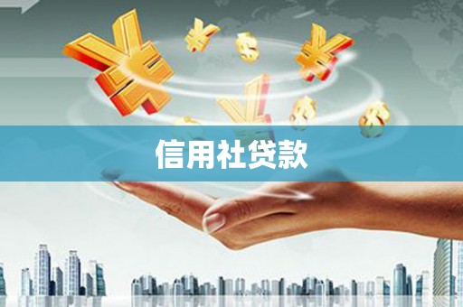 茂县信用社贷款