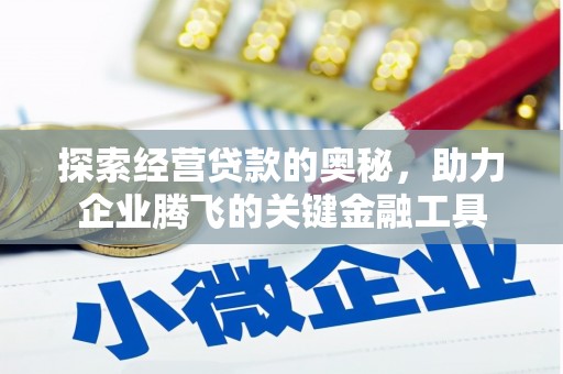 碑林探索经营贷款的奥秘，助力企业腾飞的关键金融工具