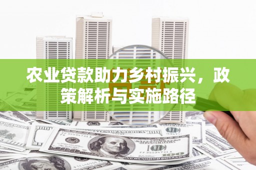 海兴农业贷款助力乡村振兴，政策解析与实施路径