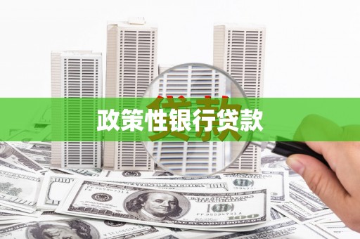 师宗政策性银行贷款