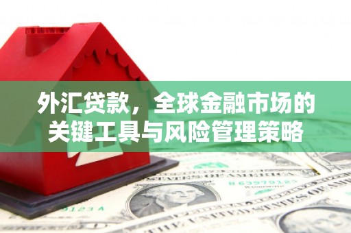 勐腊外汇贷款，全球金融市场的关键工具与风险管理策略