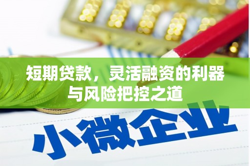 榆树短期贷款，灵活融资的利器与风险把控之道