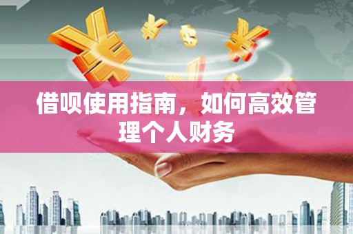 三穗借呗使用指南，如何高效管理个人财务
