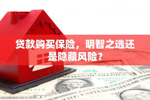 广水贷款购买保险，明智之选还是隐藏风险？