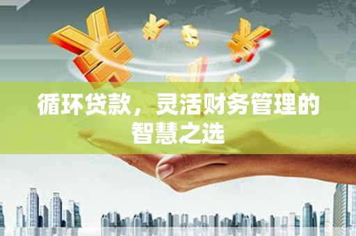 东西湖循环贷款，灵活财务管理的智慧之选