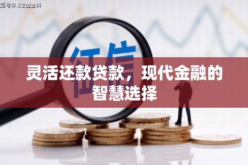 湾仔区灵活还款贷款，现代金融的智慧选择
