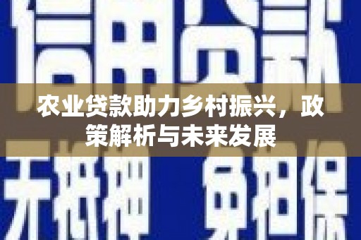 屏山农业贷款助力乡村振兴，政策解析与未来发展