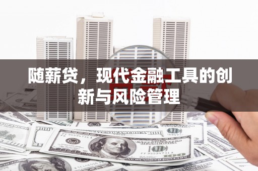 岭东随薪贷，现代金融工具的创新与风险管理