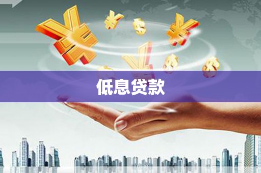 镇巴低息贷款