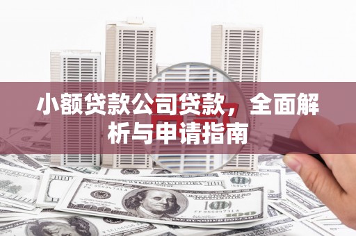 工业园区小额贷款公司贷款，全面解析与申请指南