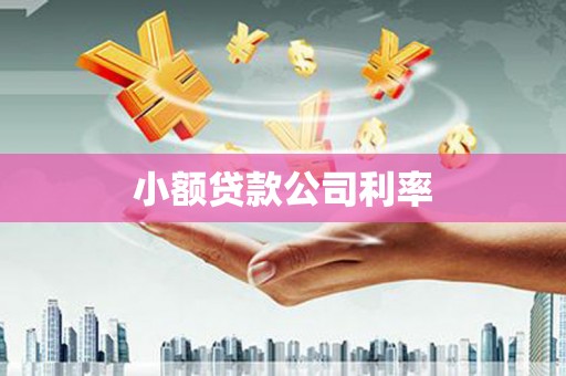 芦竹小额贷款公司利率