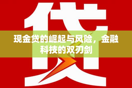 文峰现金贷的崛起与风险，金融科技的双刃剑
