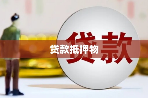 天元贷款抵押物
