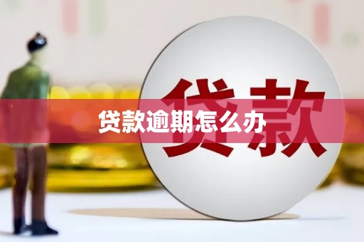 昆都仑贷款逾期怎么办