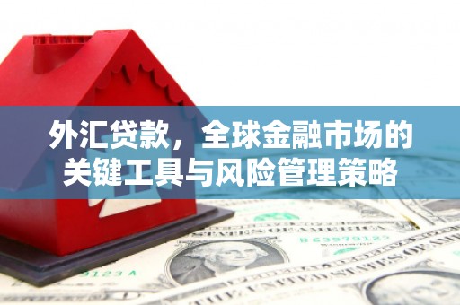 兴安外汇贷款，全球金融市场的关键工具与风险管理策略