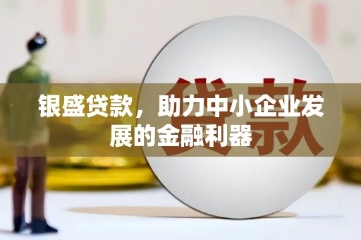 那曲银盛贷款，助力中小企业发展的金融利器