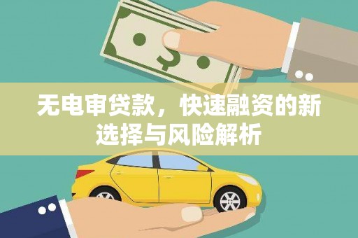 阳新无电审贷款，快速融资的新选择与风险解析