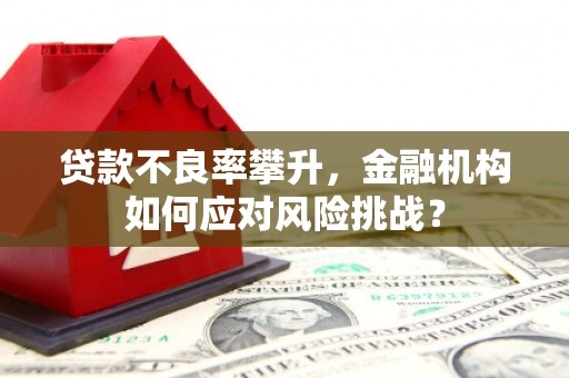 宣化贷款不良率攀升，金融机构如何应对风险挑战？