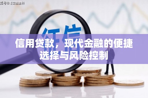 新沂信用贷款，现代金融的便捷选择与风险控制
