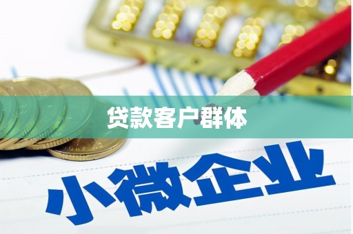 竹崎贷款客户群体