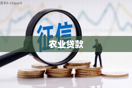 上林农业贷款