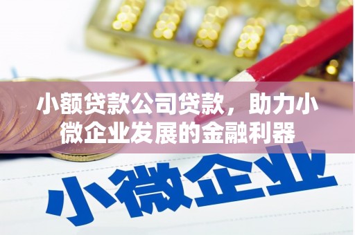 南城小额贷款公司贷款，助力小微企业发展的金融利器
