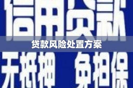 务川贷款风险处置方案