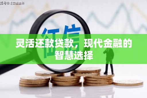 漯河灵活还款贷款，现代金融的智慧选择