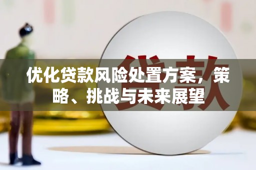 伊宁优化贷款风险处置方案，策略、挑战与未来展望