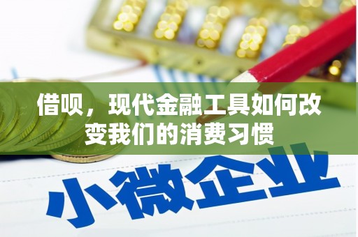 双柏借呗，现代金融工具如何改变我们的消费习惯