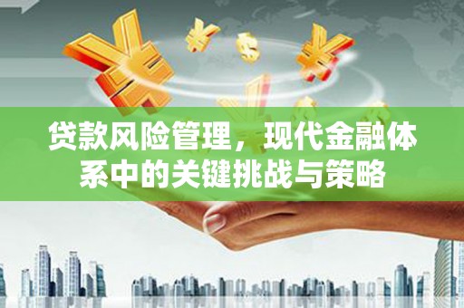 太麻里贷款风险管理，现代金融体系中的关键挑战与策略