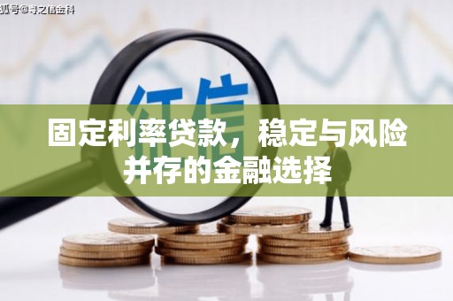 新蔡固定利率贷款，稳定与风险并存的金融选择