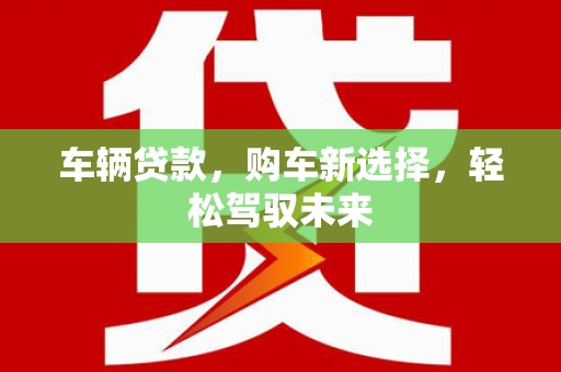 云龙车辆贷款，购车新选择，轻松驾驭未来