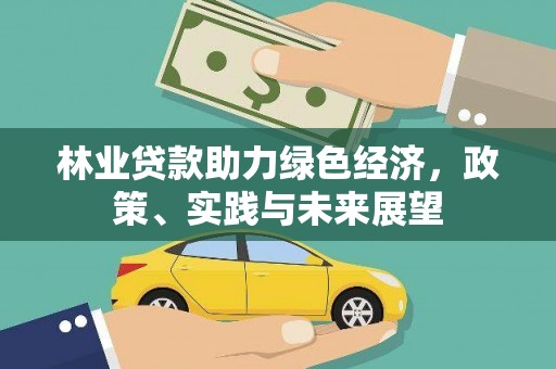 洪湖林业贷款助力绿色经济，政策、实践与未来展望