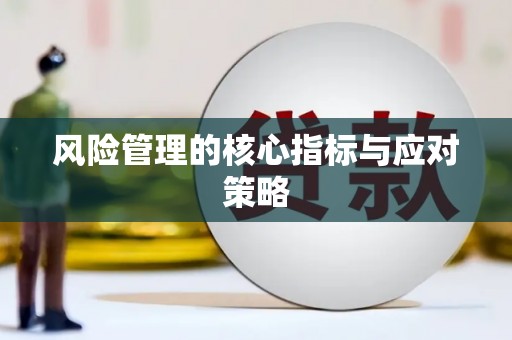 大内风险管理的核心指标与应对策略