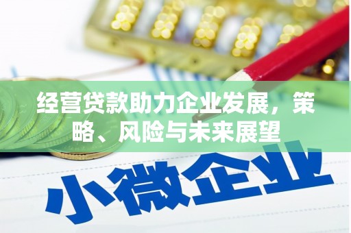 民勤经营贷款助力企业发展，策略、风险与未来展望