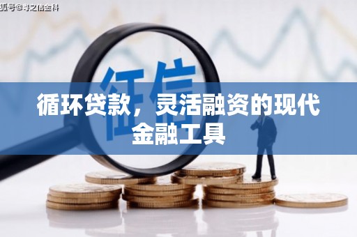 定远循环贷款，灵活融资的现代金融工具