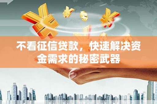 汉阳不看征信贷款，快速解决资金需求的秘密武器